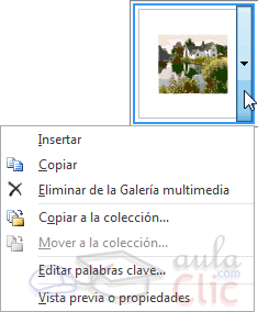 Menú contextual de un clip