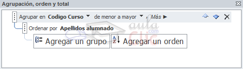 Panel Agrupaci&oacute;n, orden y total