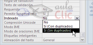 Opciones indexado - No, s&iacute; con duplicados o s&iacute; sin duplicados
