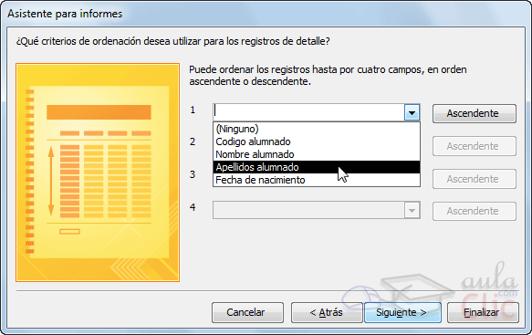 Ventana Asistente para informes, elegir ordenaci&oacute;n