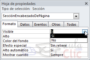 Propiedades de la secci&oacute;n Encabezado