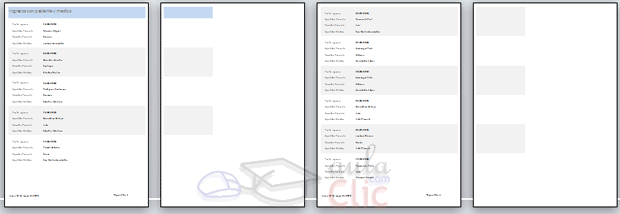 Vista previa con informe que no cabe en una hoja