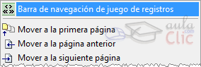 Opci&oacute;n Barra de Navegaci&oacute;n de Registros