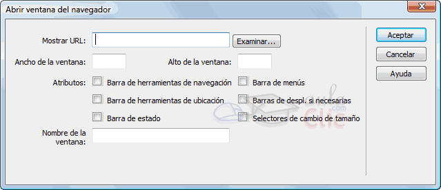 Abrir ventana del navegador