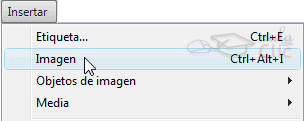Insertar opci&oacute;n Imagen