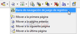 Opci&oacute;n Barra de Navegaci&oacute;n de Registros