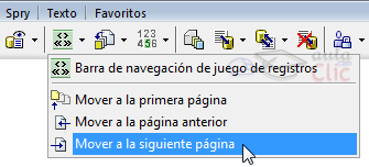 Opciones de paginaci&oacute;n