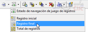 Recuentos de registros