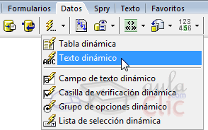 Texto din&aacute;mico