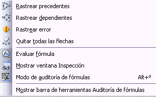 opciones de auditor�a