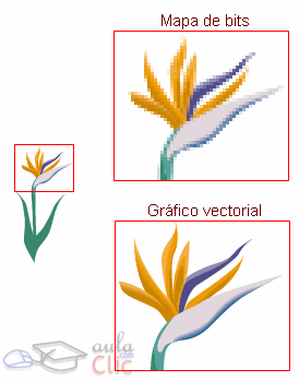 Vecorial vs. Bitmap