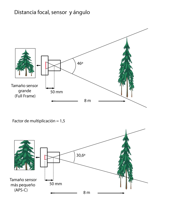 Distancia focal , sensor y &aacute;ngulo