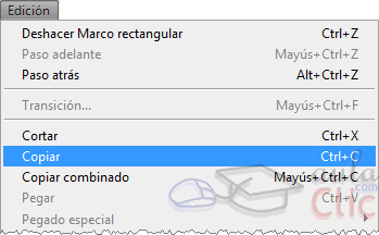 Copiar en Edici&oacute;n