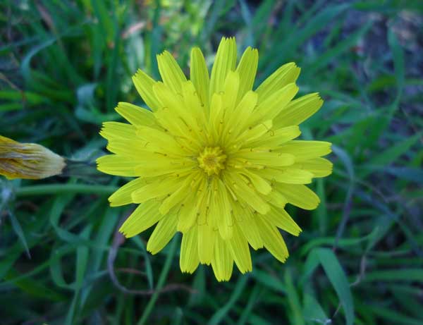 Foto sim&eacute;trica