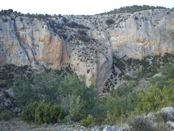 La hoz al a&ntilde;ochecer