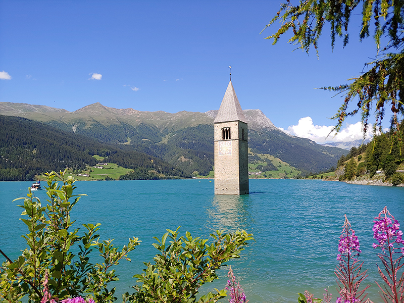 Las Fallas con m&oacute;vil