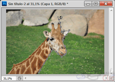 Ejemplo de uso del Lazo magn&eacute;tico