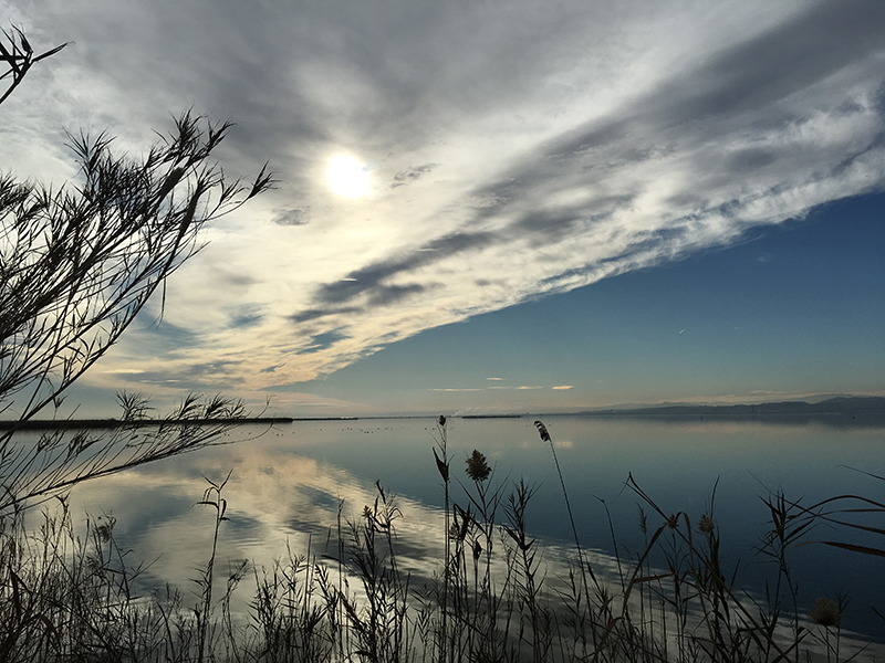 Albufera de Valencia