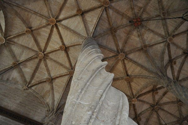 techo lonja no simétrico