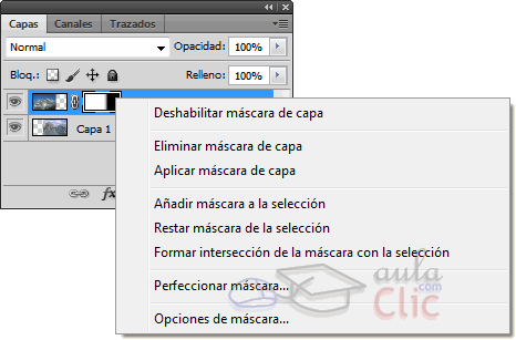 Opciones de m&aacute;scara de capa