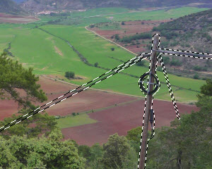 Seg&uacute;n el contenido 2