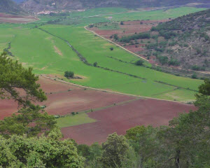 Seg&uacute;n el contenido 3