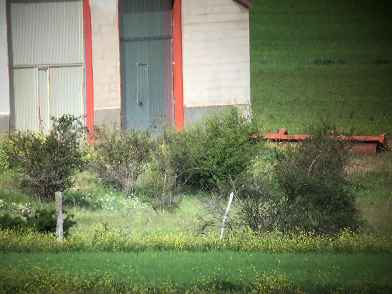 superteleobjetivo con iPhone