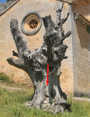 Ejemplo de selecci&oacute;n r&aacute;pida