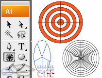Cuadr&iacute;culas polares