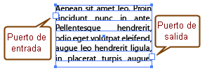 Puertos del elemento de texto