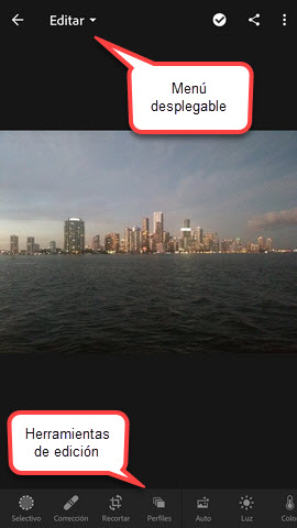 Vista Detalle en Lightroom m&oacute;vil