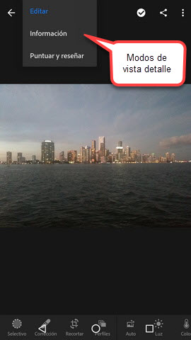 Modos de vista Detalle: Editar, Información y Puntuar y reseñar.