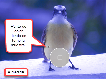 Equilibrio de blancos a medida