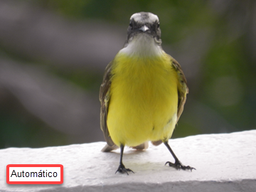 Equilibrio de blancos autom&aacute;tico