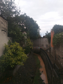 Fotograf&iacute;a Original