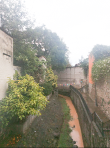 Mayor Exposici&oacute;n