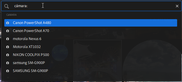 B&uacute;squeda por la faceta c&aacute;mara