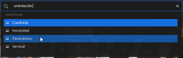 B&uacute;squeda por la faceta orientaci&oacute;n