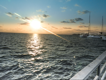 Ejemplo edici&oacute;n selectiva resultado mejorado