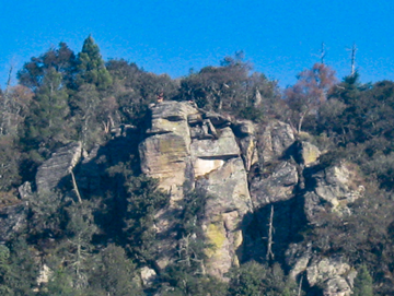 Ejemplo uno edici&oacute;n selectiva resultado