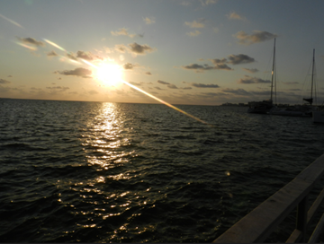 Ejemplo edici&oacute;n selectiva original