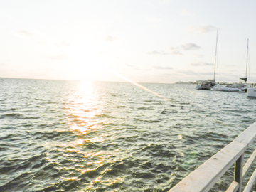 Ejemplo edici&oacute;n selectiva resultado