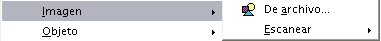Opciones de Insertar imagen