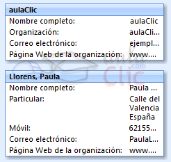Vista Tarjeta de visita detallada