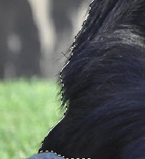 Selecci&oacute;n r&aacute;pida