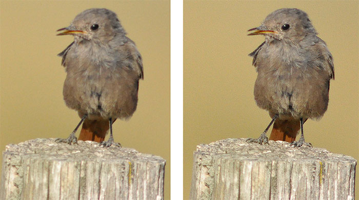 filtro estabilizador de imagen