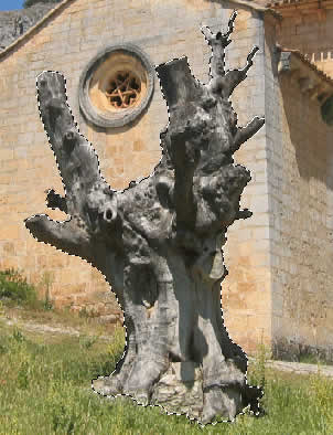 Ejemplo de selecci&oacute;n r&aacute;pida