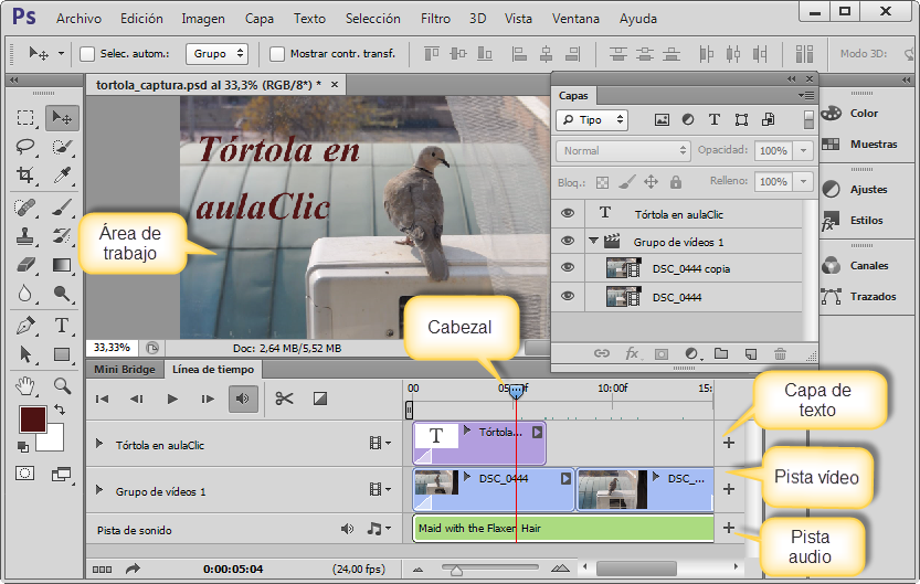 Interface de v&iacute;deo en Photoshop