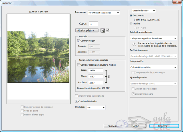 Cuadro de di&aacute;logo de Imprimir con vista previa