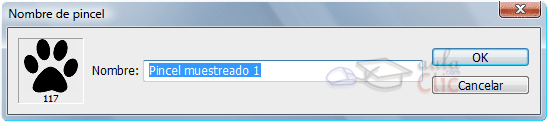Cuadro de di&aacute;logo Nombre de Pincel